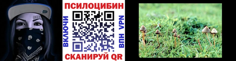 Псилоцибиновые грибы Psilocybine cubensis  хочу наркоту  Пересвет 